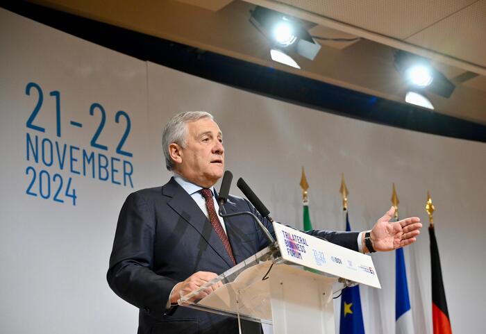 EU's Green policies mustn't kill industry - Tajani