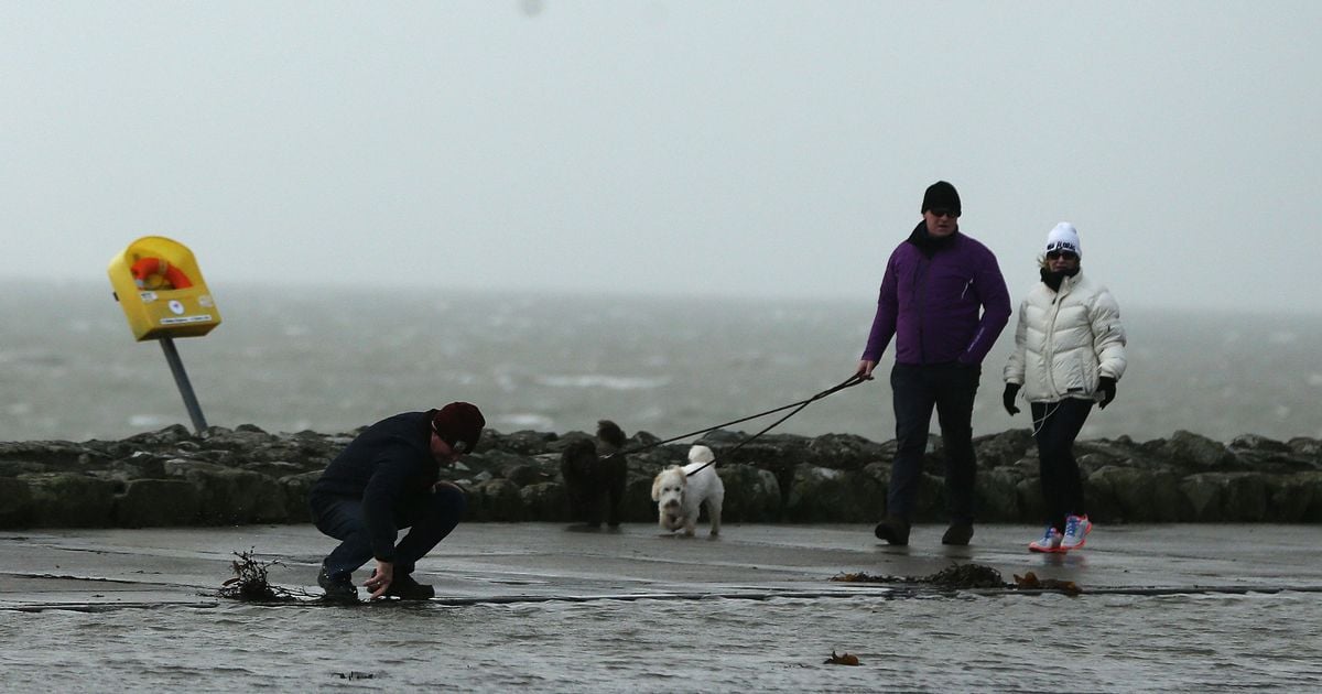 Met Eireann issues Status Orange warning to three counties as Storm Bert set to wreak havoc