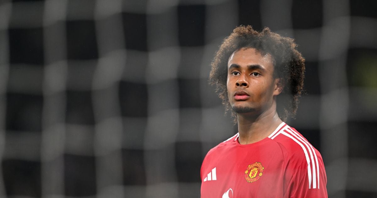 Joshua Zirkzee Man United transfer latest: Italy return, January exit, Viktor Gyokeres impact