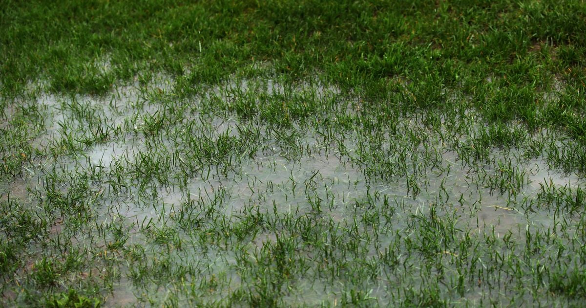 Storm Bert hits today's GAA fixtures leading to postponements, pitch inspections and venue changes