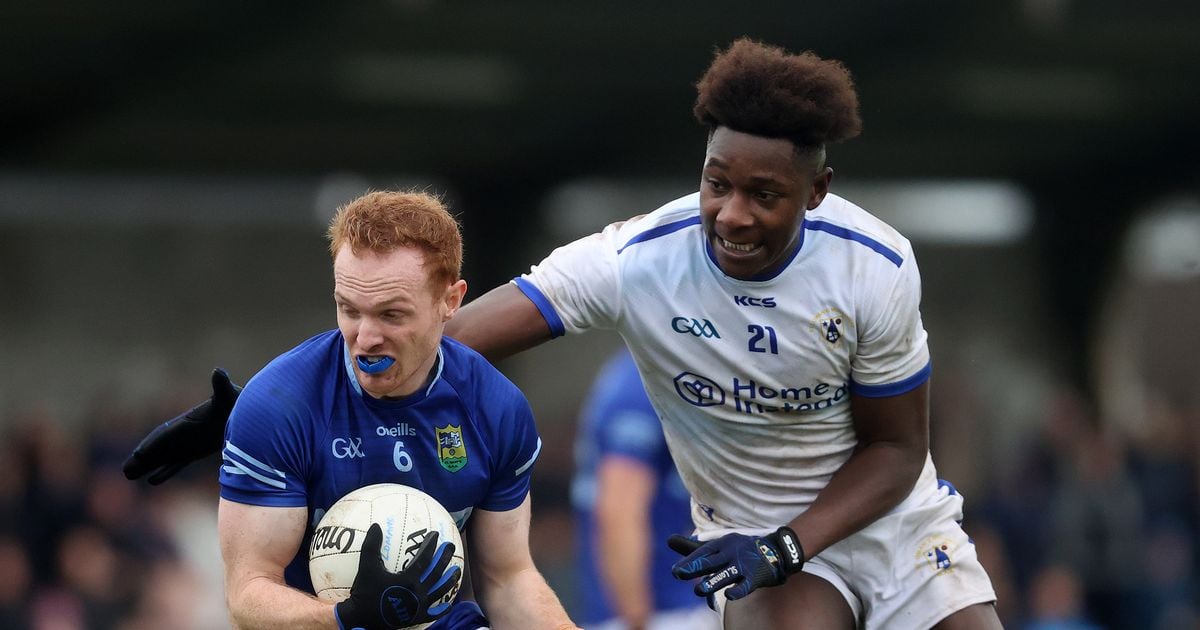 Another landmark day for Louth GAA as St Mary's Ardee book Leinster final spot