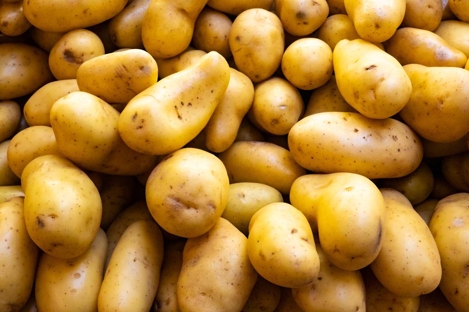 We Asked 3 Farmers How to Pick Out the Best Potatoes, and They All Said the Same Thing