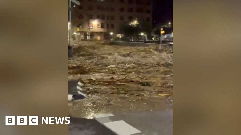 Watch first wave of flood water gushing through town in Valencia