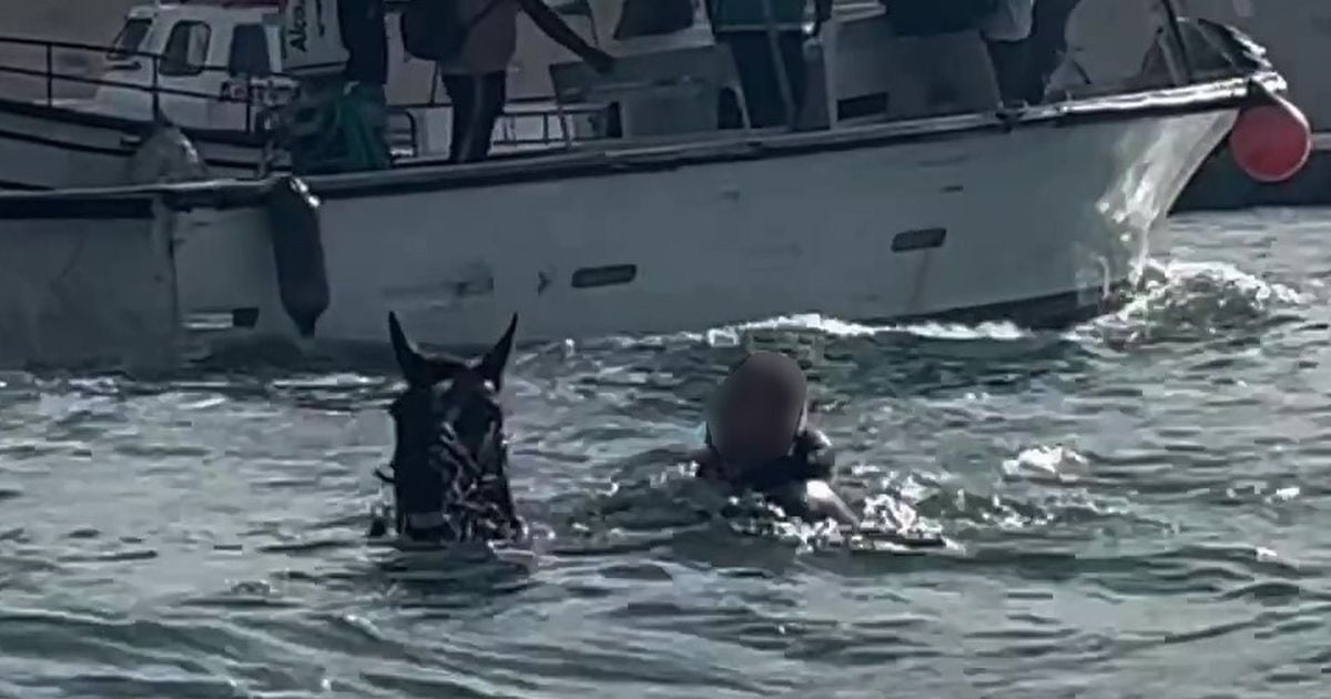 British holidaymaker's strange sight' as man rides swimming horse in sea next to boat