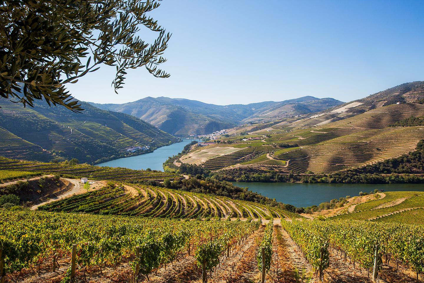 Les vins du Douro visent les sommets