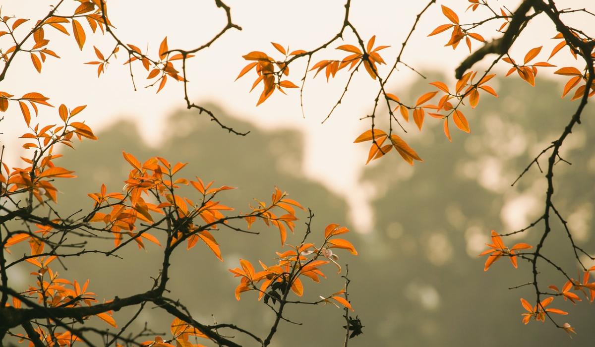 Forecasters agree on positive outlook for Ireland amid indication of weather change