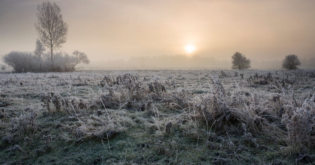 Ireland weather: Met Eireann warns of frost, fog and thunderstorms as temperatures plunge again