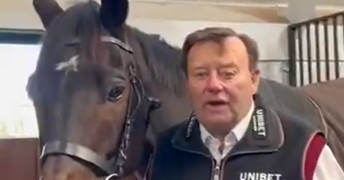 Constitution Hill update as Nicky Henderson gives positive news on his unbeaten star