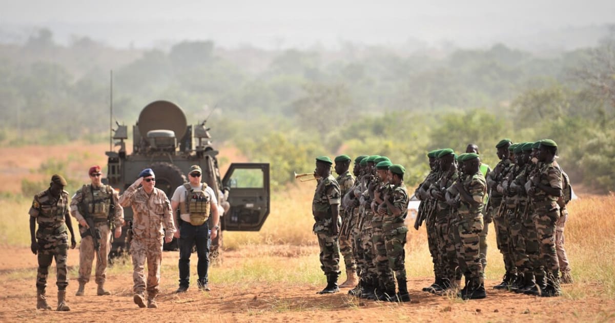 Czech army to serve again in African Sahel, training troops in Mauritania