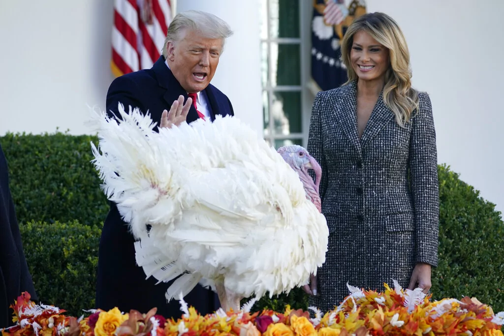 How the White House Thanksgiving Turkey pardon came to be