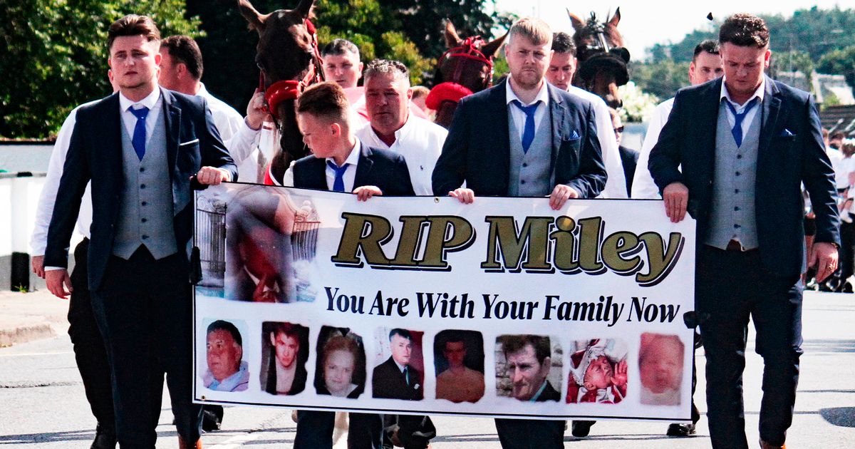 Tears as bride of Limerick groom killed in car driven by best man tells court 'It should have been the happiest day' 