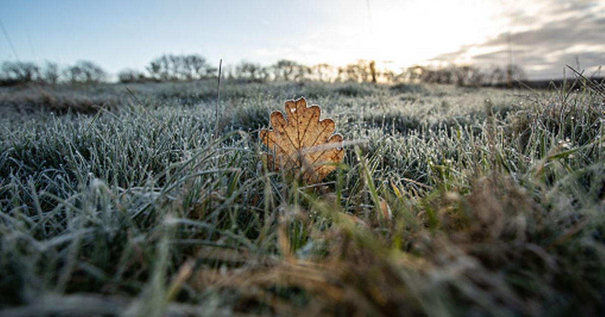 Ireland weather: Met Eireann confirms temperatures will drop to -3C before big change