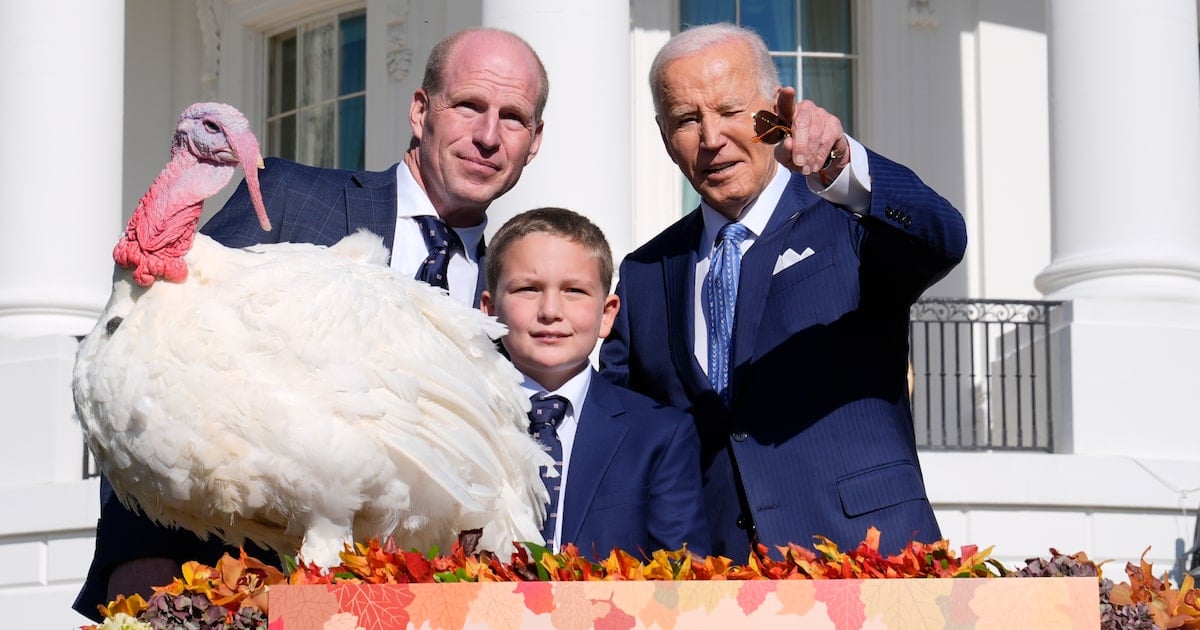 Bidens' last holiday season in the White House: Turkey pardon and tree lighting