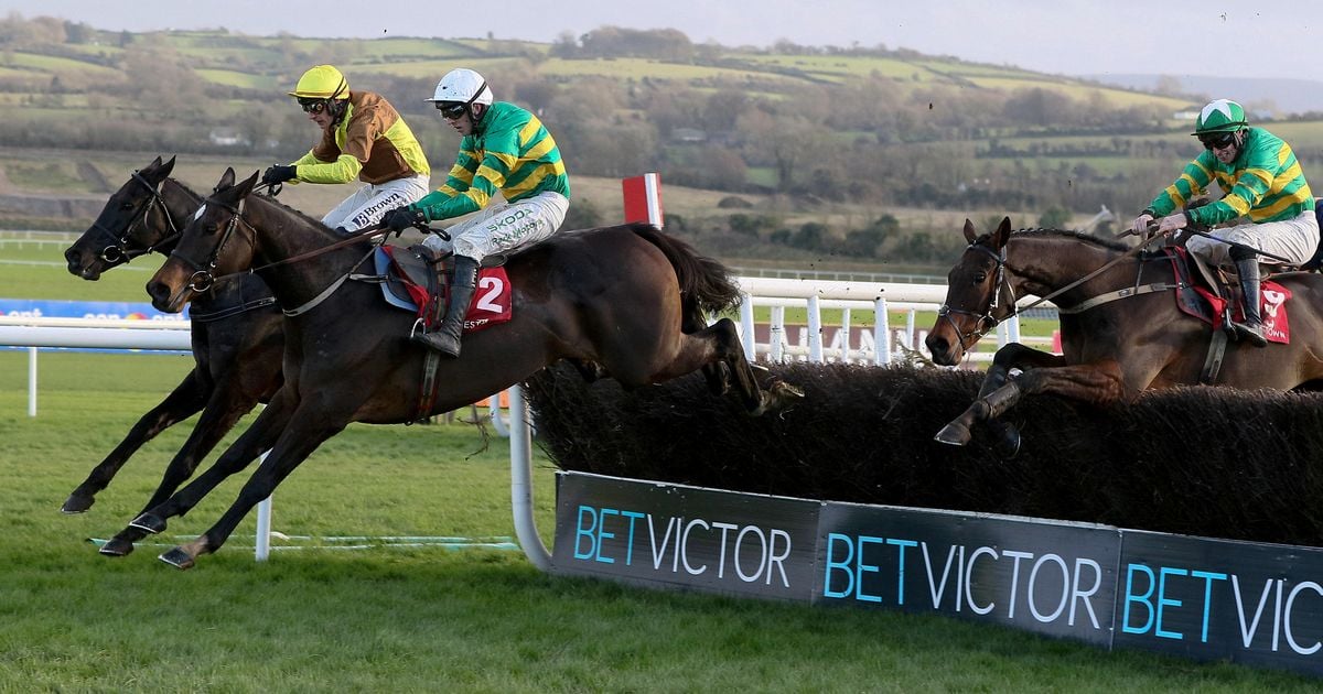 Galopin Des Champs still the horse to beat in Cheltenham Gold Cup despite John Durkan defeat