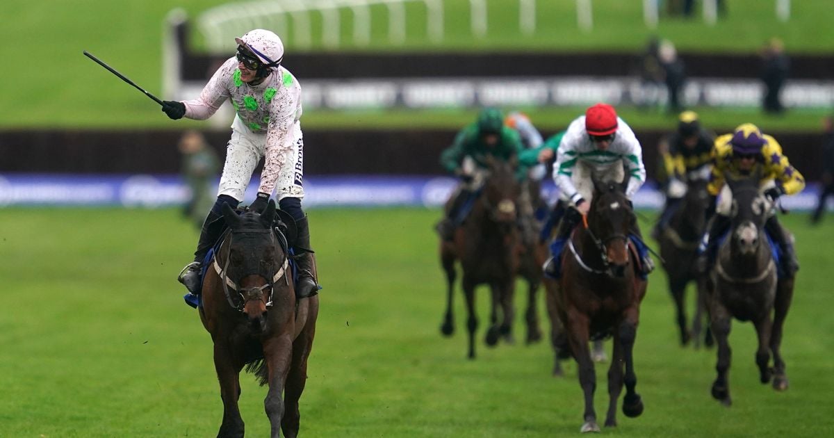 Willie Mullins causes big King George shake-up after withdrawing horses