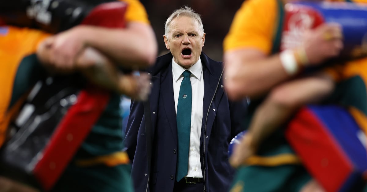 Joe Schmidt well on his way to making Australia formidable again