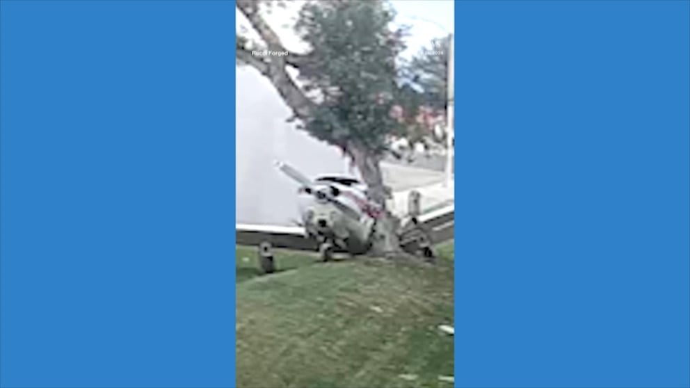 WATCH: Small plane makes crash landing into tree in Southern California