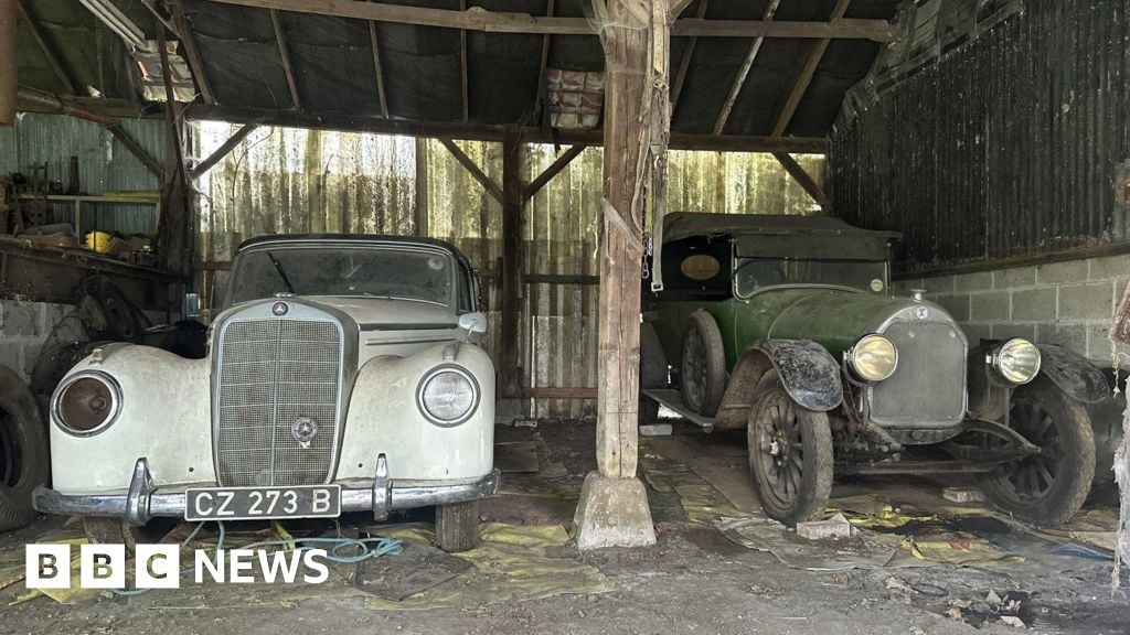 Rare cars stored in barn since '80s sell at auction