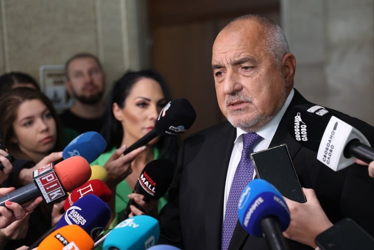 GERB-UDF to Submit Questions to Constitutional Court, Borissov Says