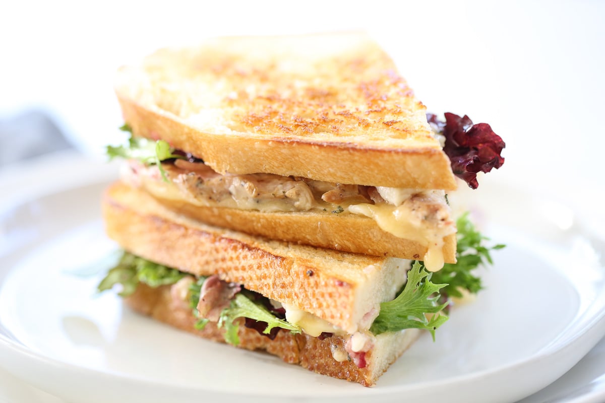 Turkey Cranberry Melt