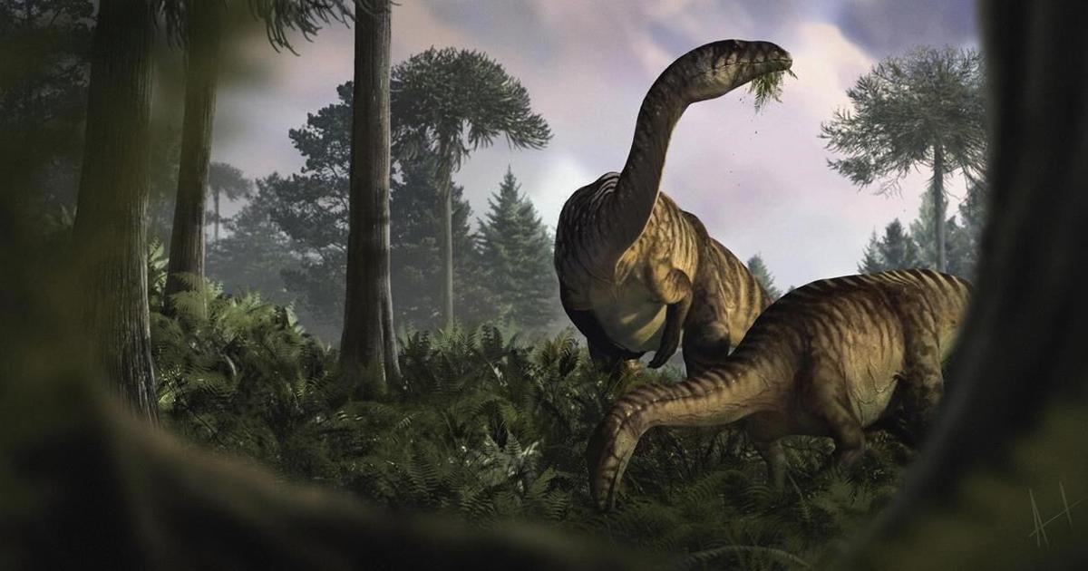 Fossilized dinosaur feces and vomit help scientists reconstruct the creatures' rise