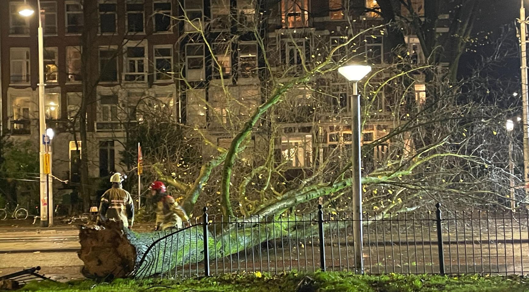 Storm Conall exits Netherlands leaving many fallen trees behind