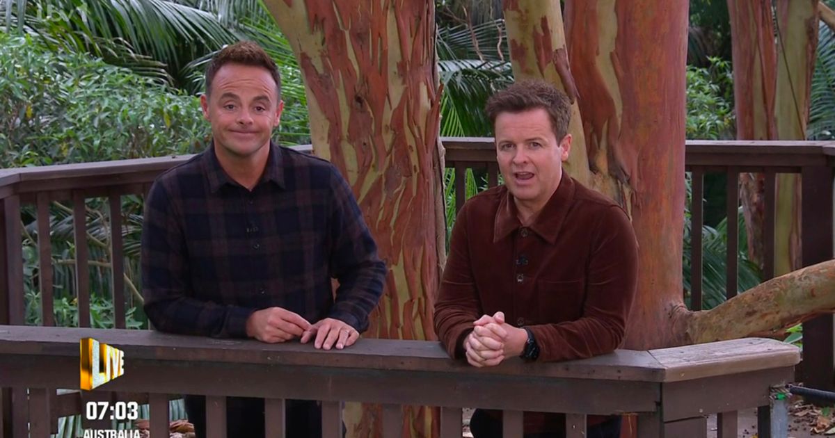 I'm A Celebrity fans furious after Ant and Dec 'try to help' Tulisa in gruelling trial