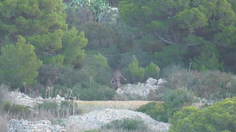 Two cases of illegal hunting in protected bird sanctuaries reported to police by BirdLife Malta