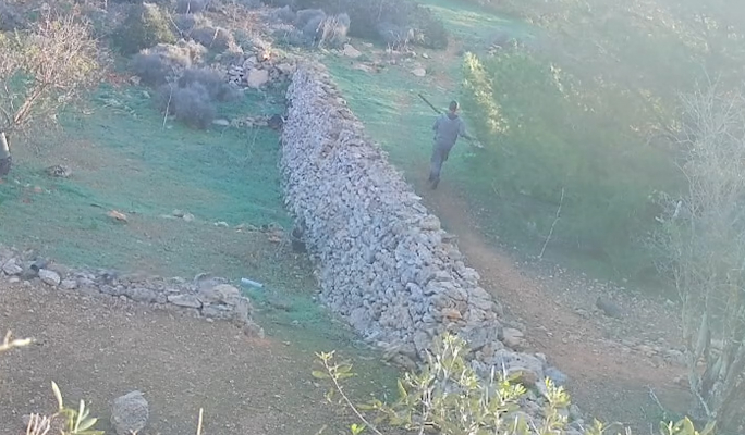  [WATCH] BirdLife reports separate incidents of illegal hunting at Buskett and Comino 