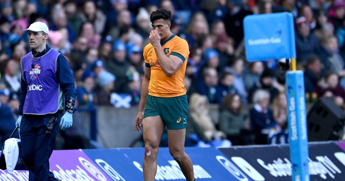 Joe Schmidt able to pick new Wallabies superstar for showdown with Ireland at Aviva Stadium