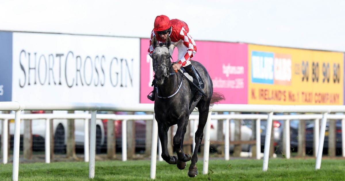 Thurles winner is one of shortest-priced in Irish racing history