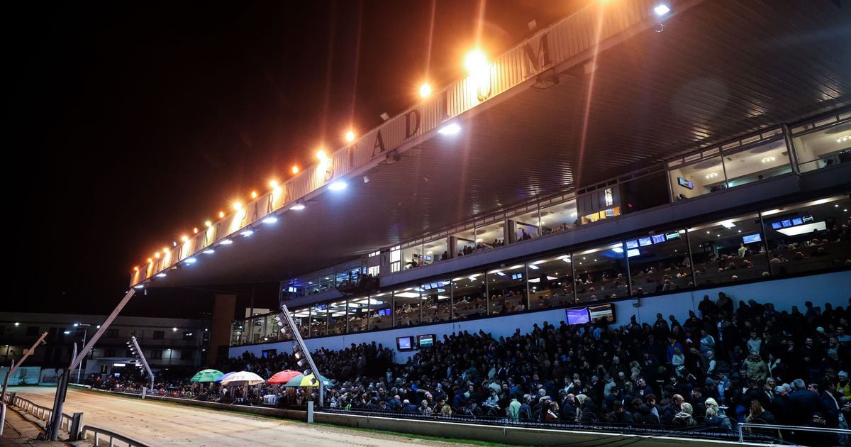 Top quality racing in Shelbourne Park as Bockos Diamond crowned BoyleSports Irish Greyhound Derby champion