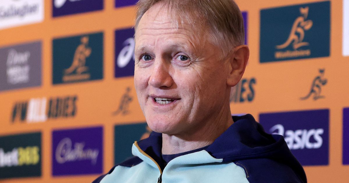 Relaxed Joe Schmidt cracks gags ahead of Ireland v Australia clash at Aviva Stadium