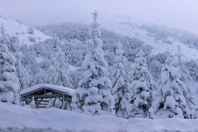 Siberian Cold Hits Central, Eastern Turkiye, with Temperatures Dropping to Minus 20C