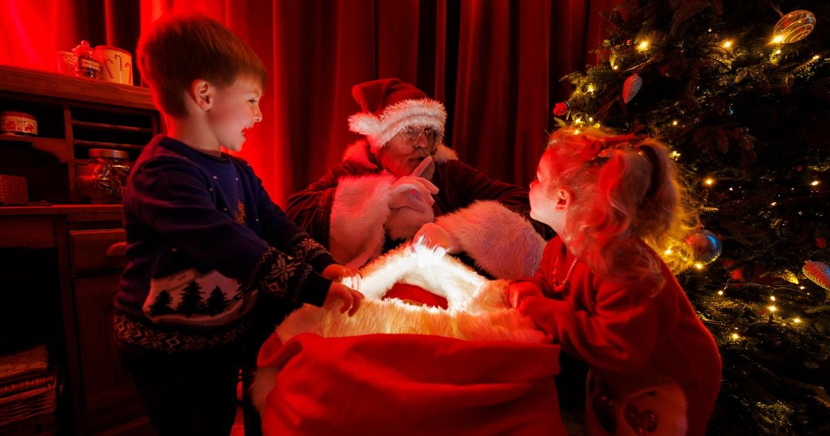 ENJOY 20% OFF YOUR 2024 CHRISTMAS EXPERIENCE AT PALMERSTOWN ESTATE OR MALAHIDE CASTLE & GARDENS 