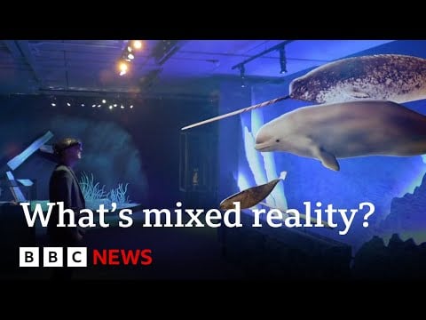 What a &#39;mixed reality&#39; experience tells us about the future of the natural world | BBC News