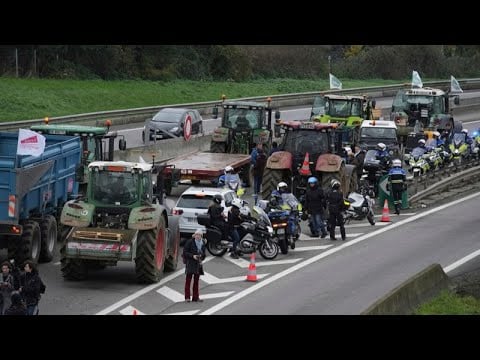 French farmers rally across country to protest EU-Mercosur trade deal