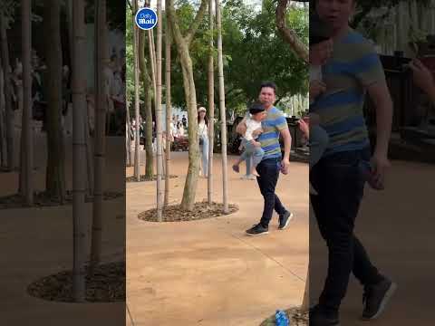 Shocking moment monkey attacks man with pram