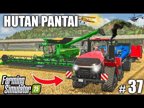 FIRST BIG WHEAT HARVEST! | Farming Simulator 25 - HUTAN PANTAI | Episode 37