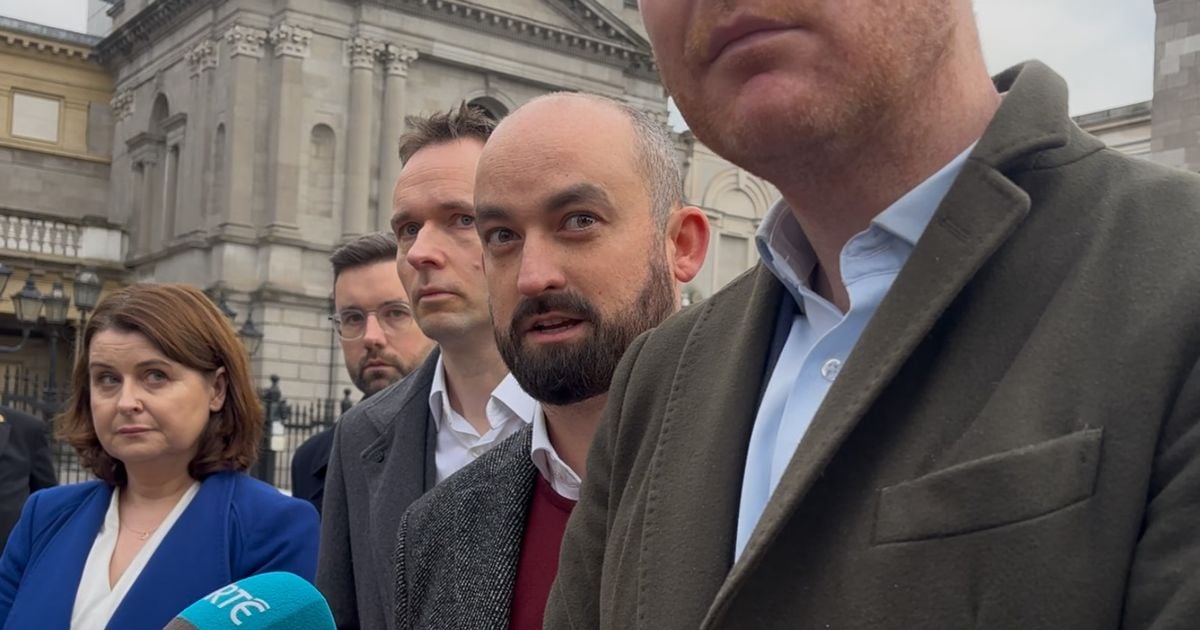 Suspend Social Democrats Eoin Hayes to refund political donation that exceeded electoral rules 