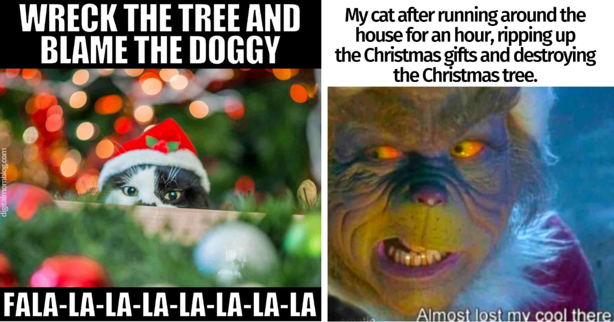 23 Festive Funny Feline Memes Fortifying the Christmas Tree Against Holiday Hooligansim From Hissterical House Cats