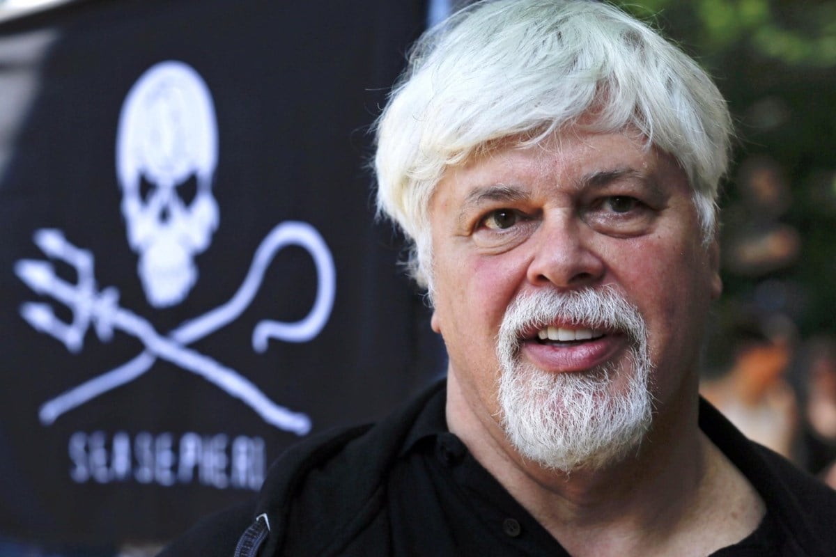 Freed anti-whaling activist Paul Watson won't face extradition by Denmark to Japan - lawyer