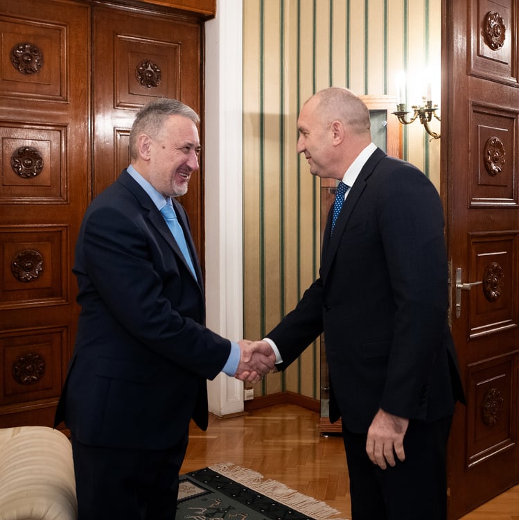 President Rumen Radev Meets with North Macedonia's Former Prime Minister Ljupco Georgievski