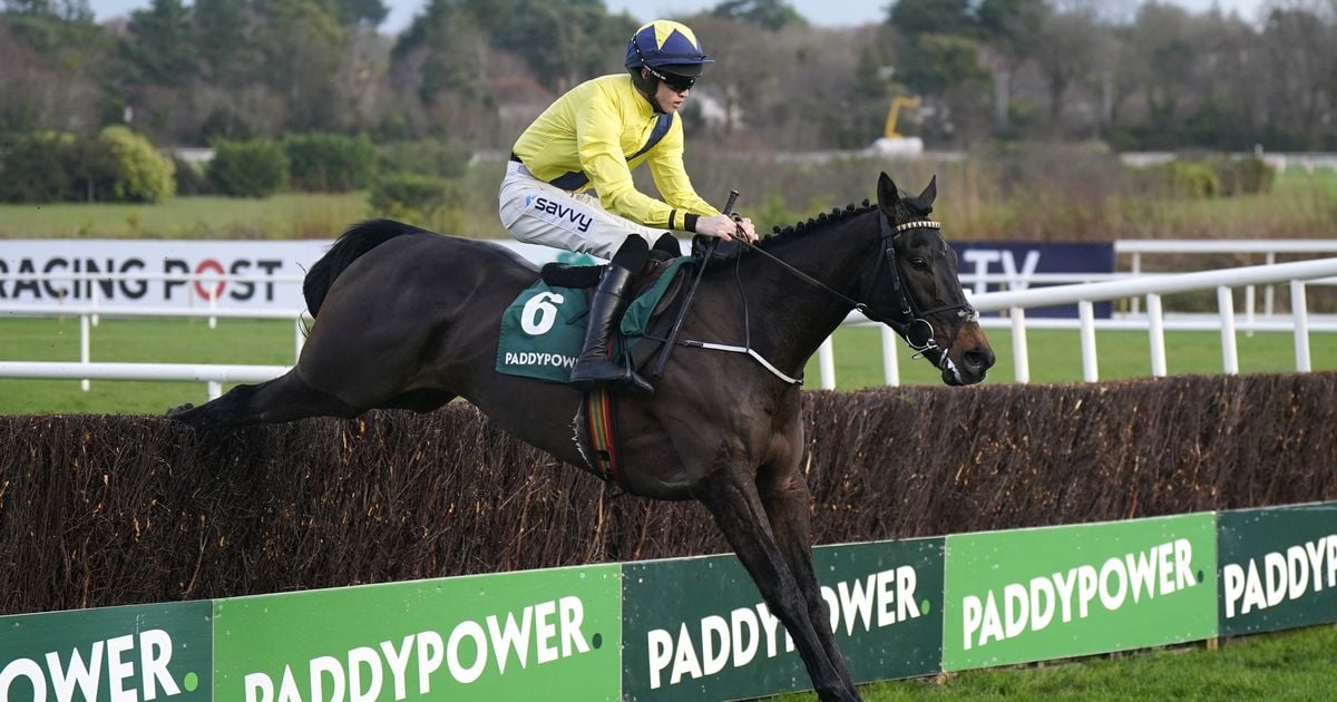 Irish trainer gives bullish update on his stable star ahead of Leopardstown's Christmas Festival