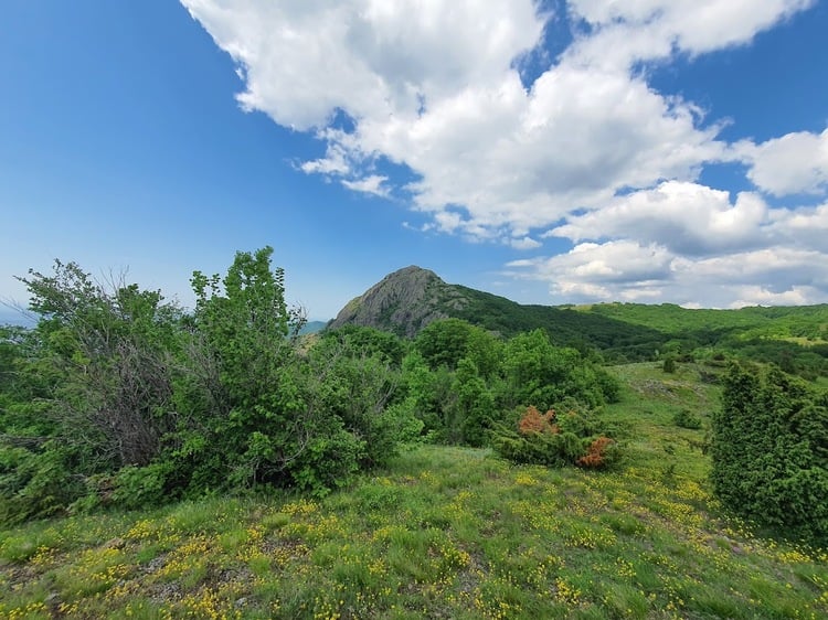 Protests Against Territorial Reduction of Blue Stones Nature Park Held in Sliven