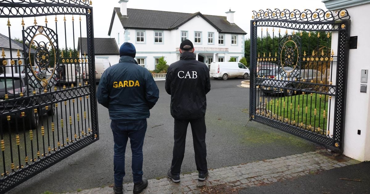 Pictured: CAB swoop on Louth 'White House' mansion belonging to 'leader of crime group' and glamorous wife 