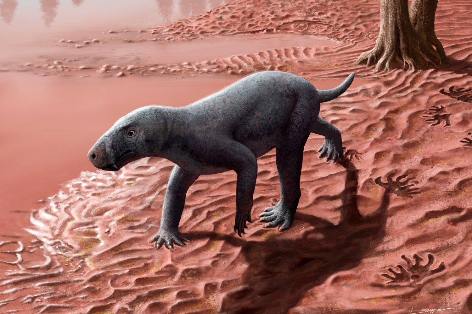 This Saber-Toothed Predator Is the Oldest Mammal Ancestor Ever Found