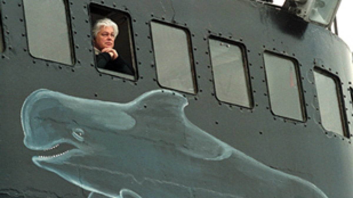 Antiwhaling activist Paul Watson released as Denmark rejects extradition