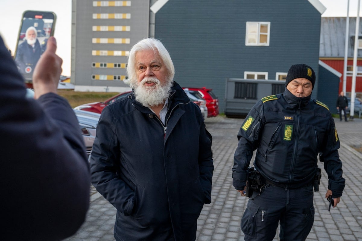 Denmark frees anti-whaling activist Paul Watson, rejecting Japan extradition