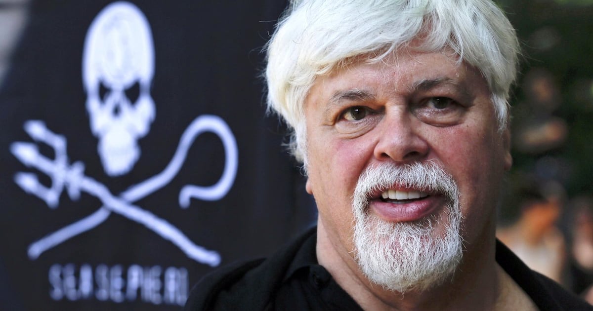 Freed anti-whaling activist Paul Watson won't face extradition by Denmark to Japan - lawyer